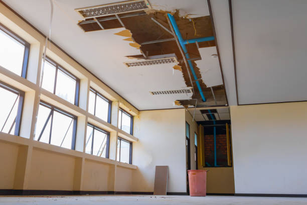 Best Local water damage restoration  in Kennedy, CA