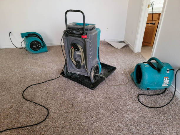 Best Carpet water damage restoration  in Kennedy, CA