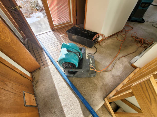 Best 24-hour water damage restoration  in Kennedy, CA