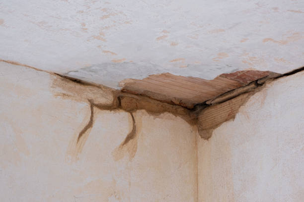Best Emergency water damage restoration  in Kennedy, CA