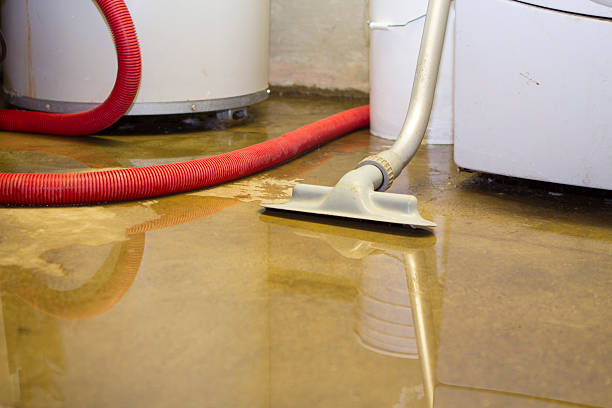 Best Sewage cleanup and water damage restoration  in Kennedy, CA